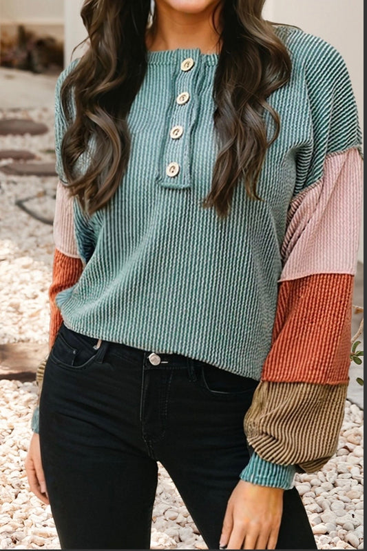 Twisted Ribbed Knit Colorblock Henley Top